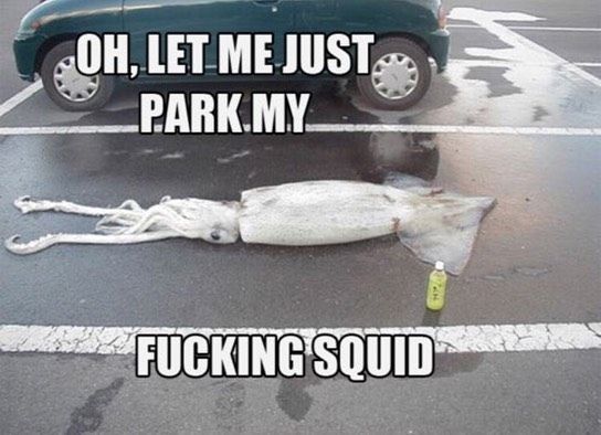 squid