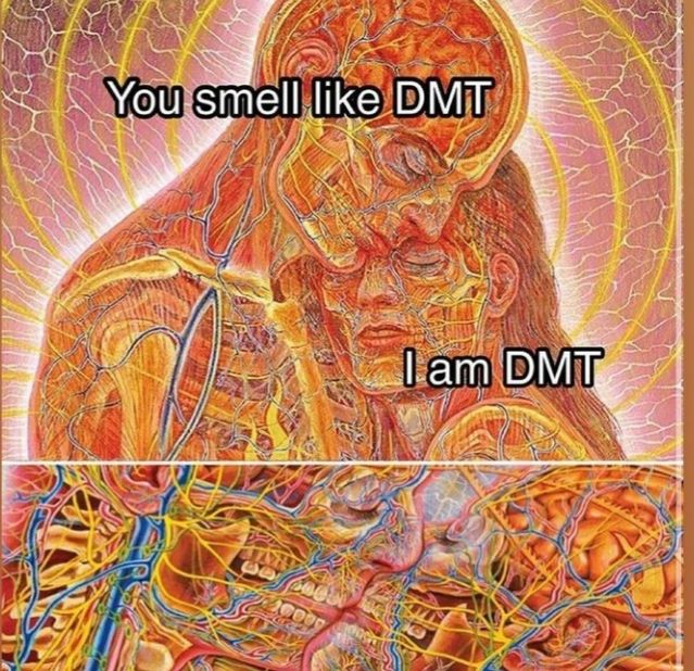 Mmmh DMT