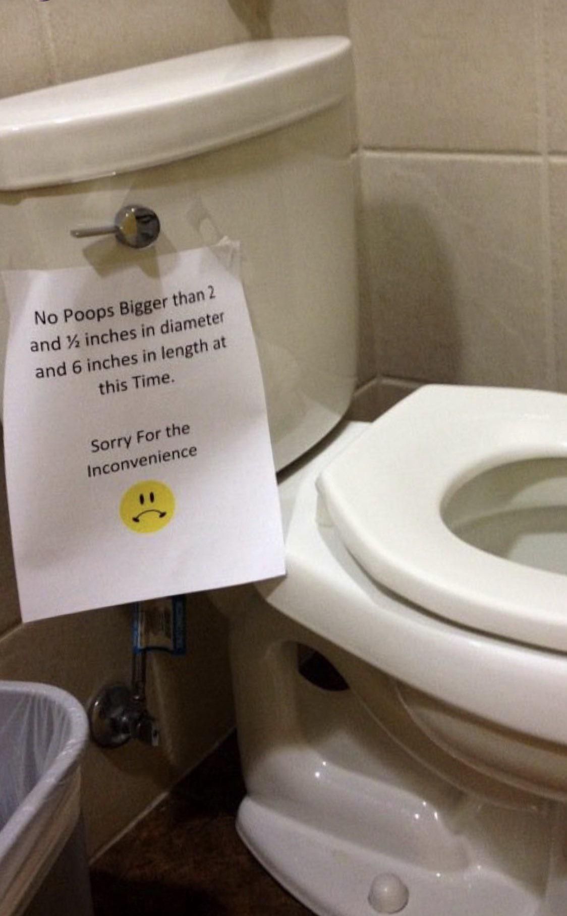 All righty then! I will just pee..