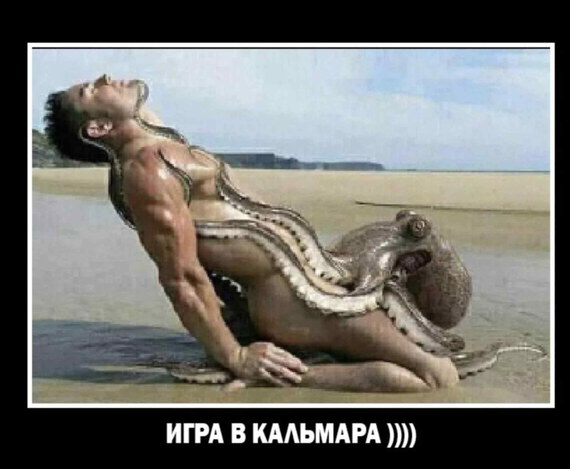 squid game ))))