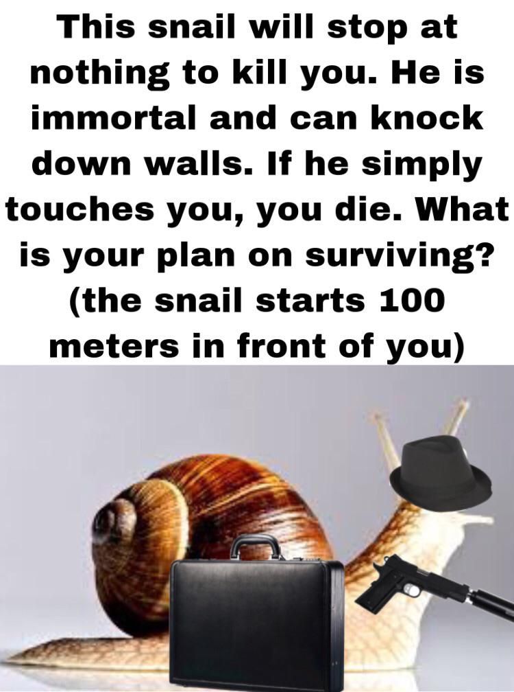 for a snail to travel 1 mile it takes 33 hours. good luck