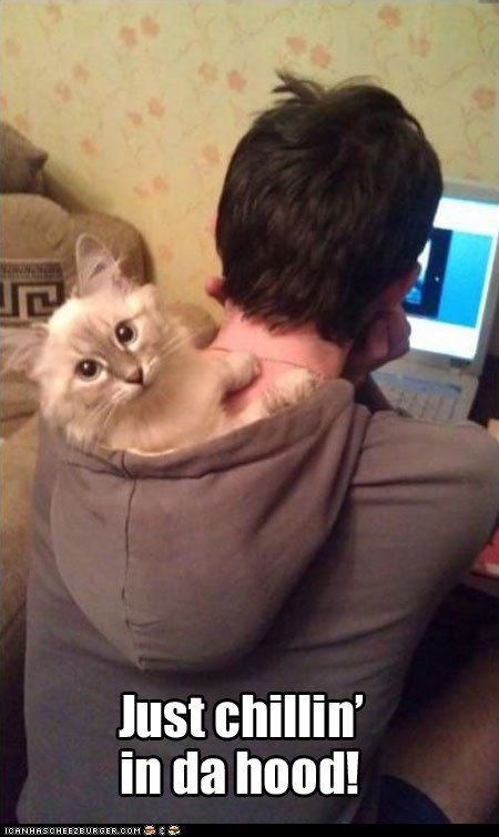 Puncat