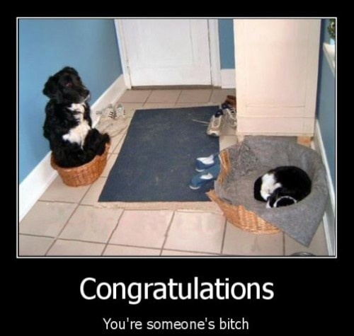 Someone's b*tch