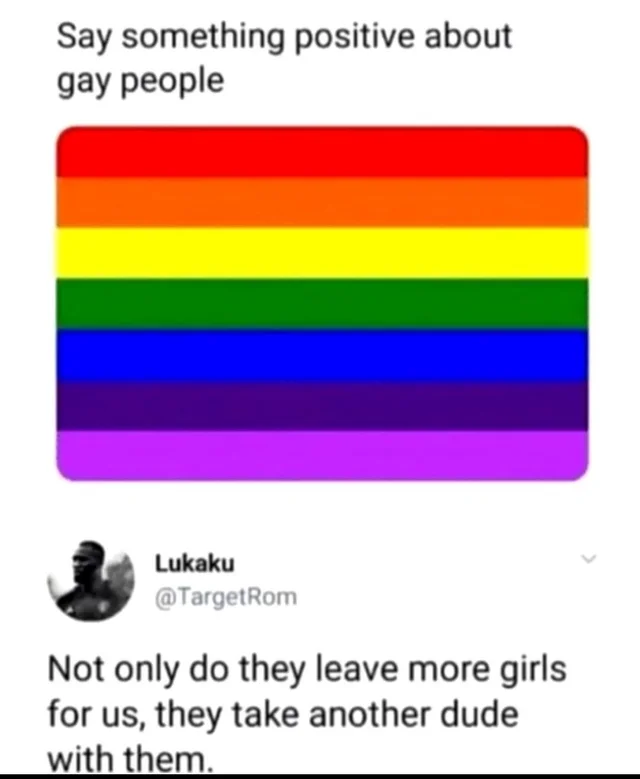 Gays are nice irrelative of meme. No hate!