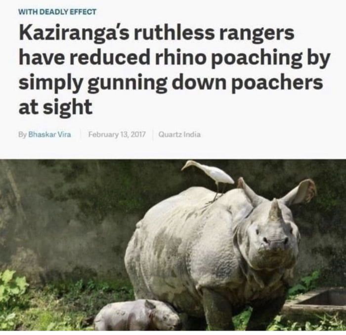 India is saving endangered Rhino’s with 1 simple trick. Poachers hate them!