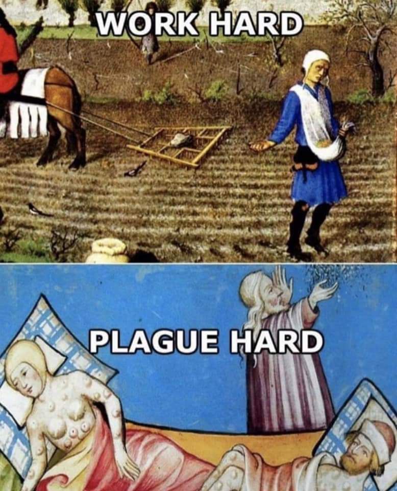 Plague hard