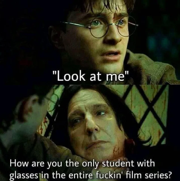 dumbledore said calmly