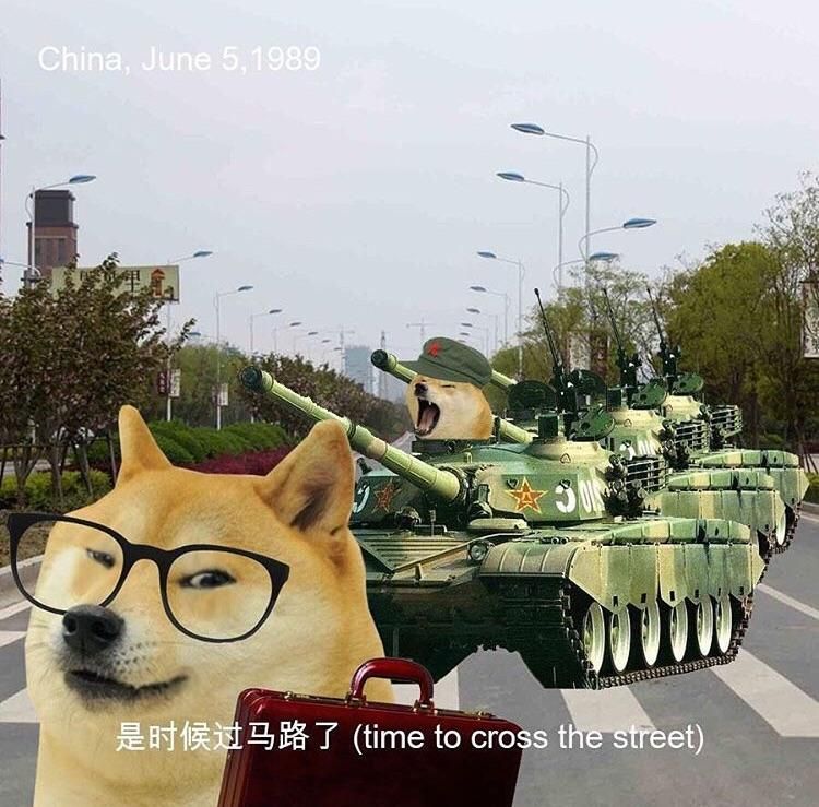 Doges? It's ironic.