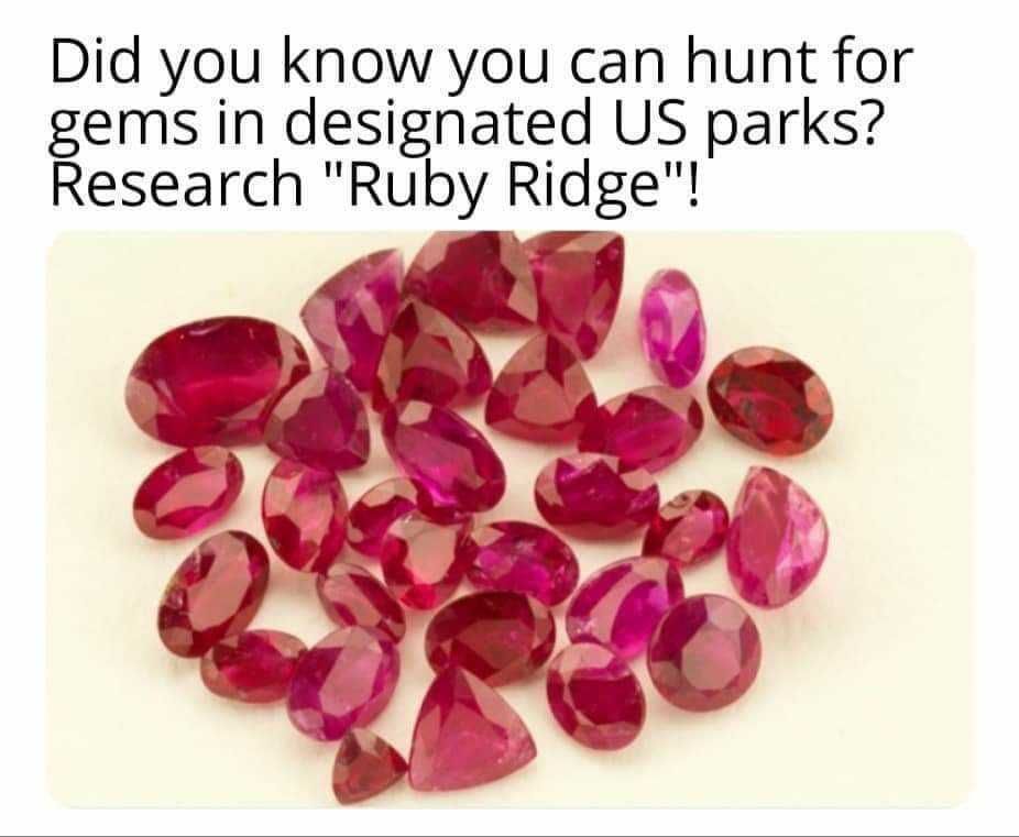 Look it up