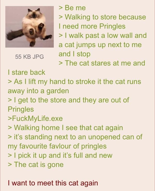 Thanks cat.