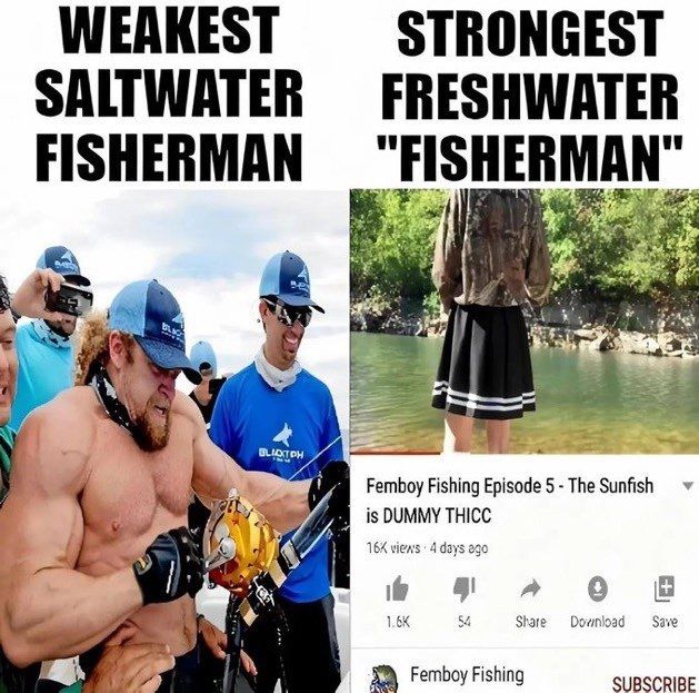 fish
