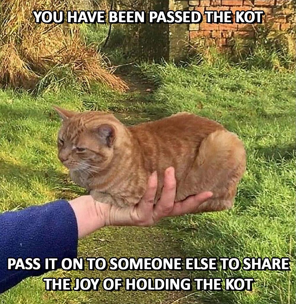 kot