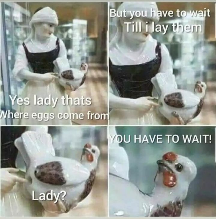 Eggs