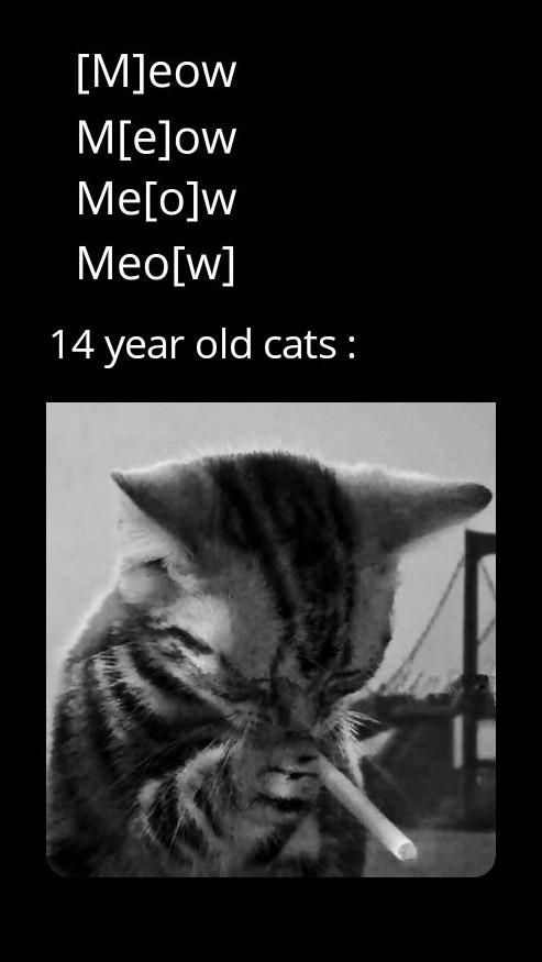 Sad meow