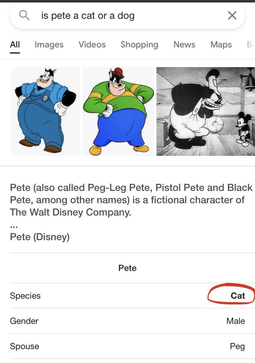 SO YOU’RE TELLING ME PETE IS A CAT?!