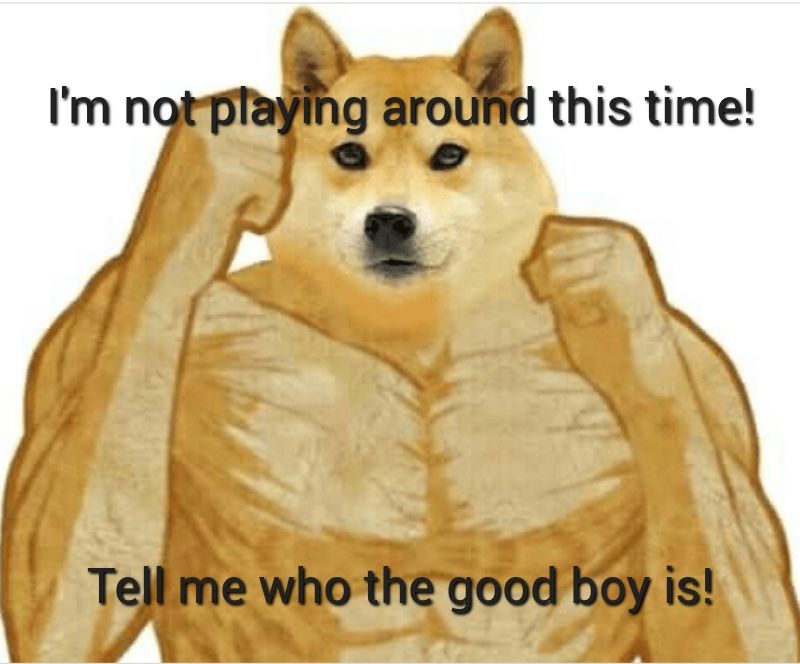 Timtle