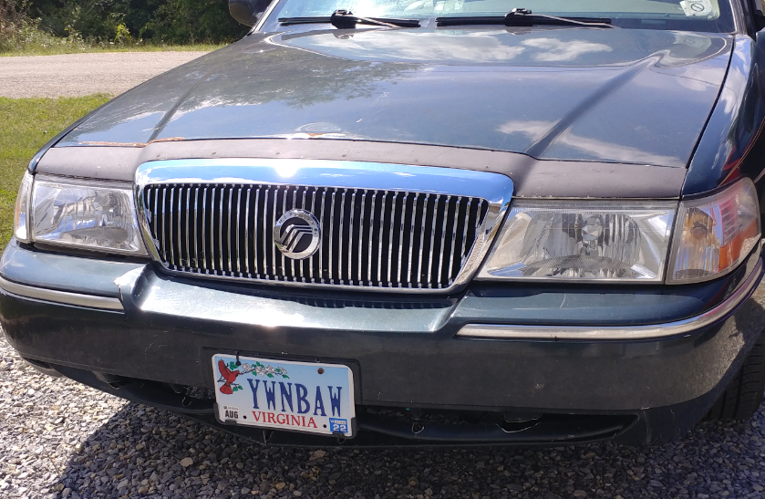 Based Virginia bro is based