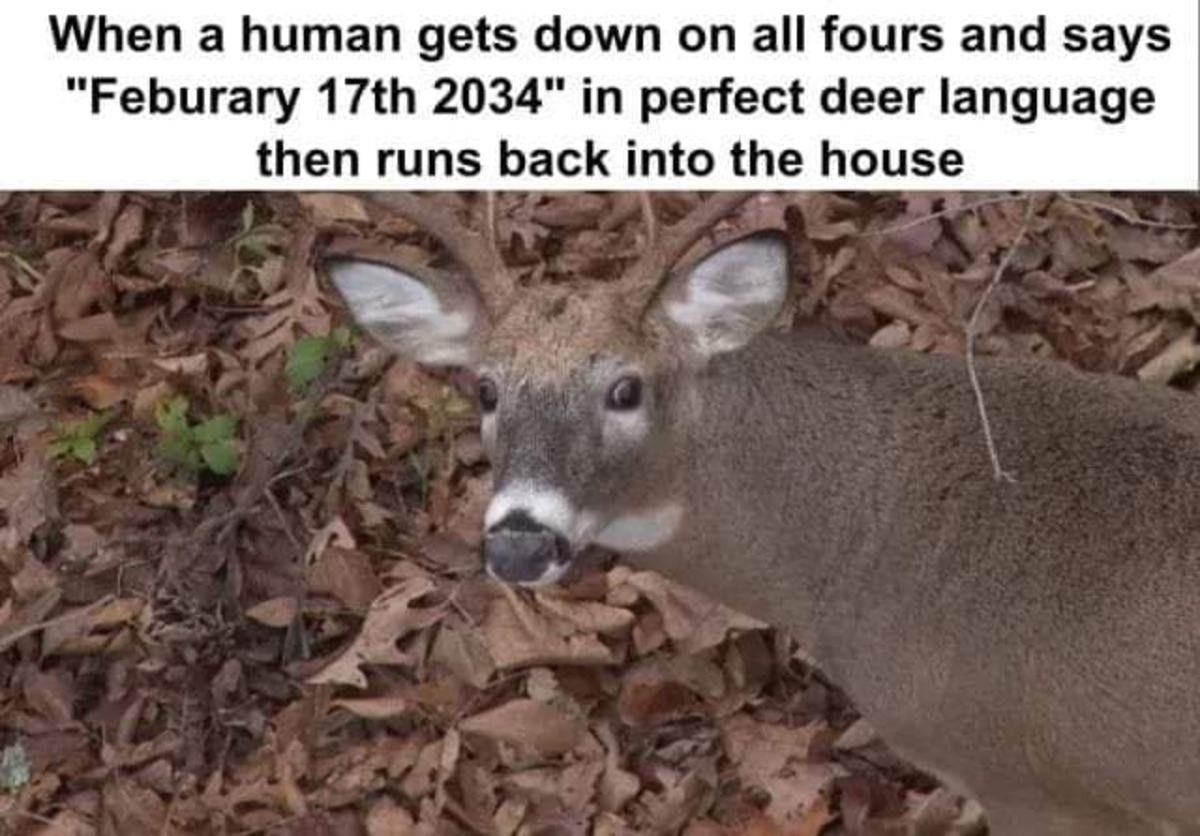 Deer can be schizo too