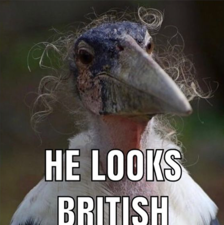 Doesn't he ?