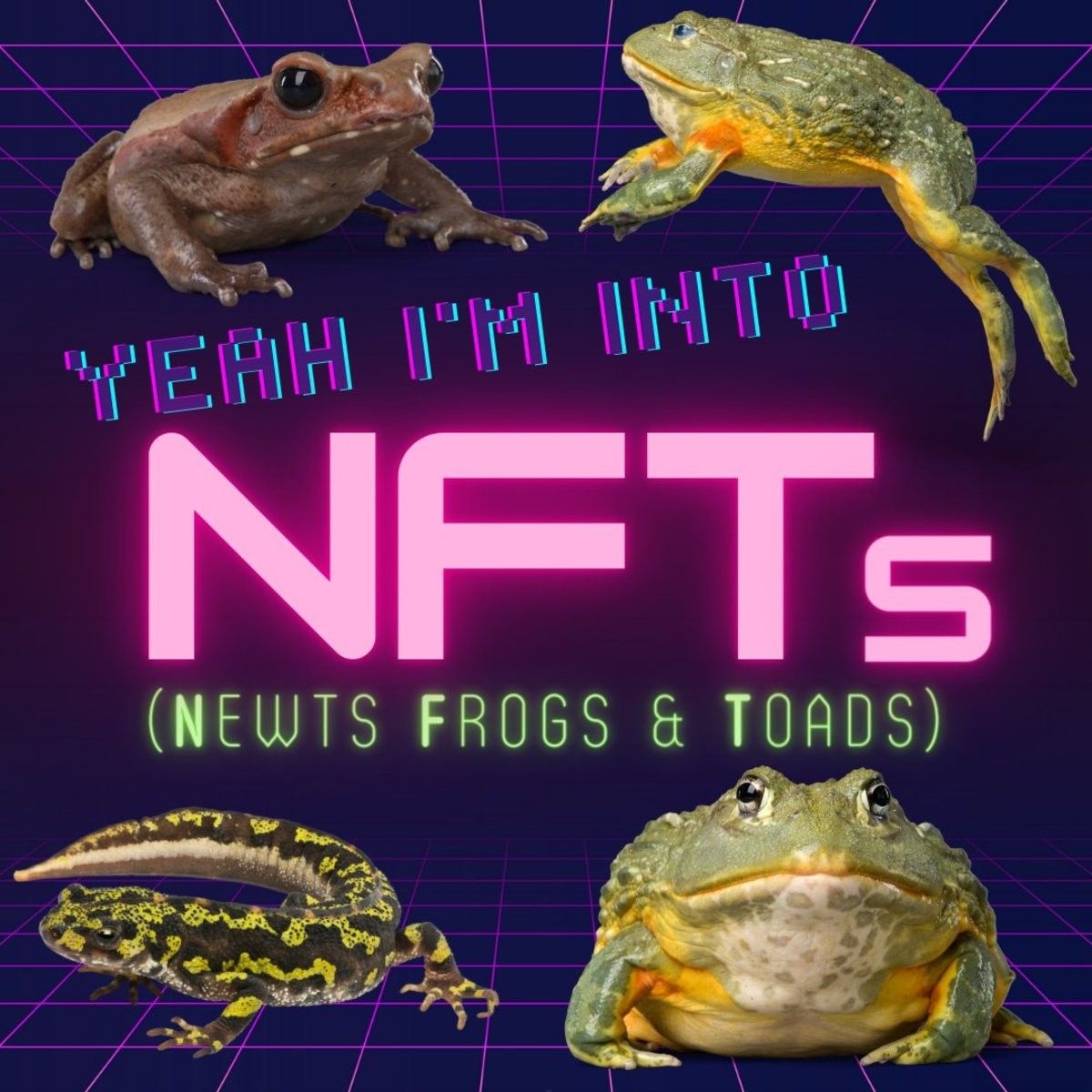 Does anyone know how to make NFTs? I kinda wanna try it