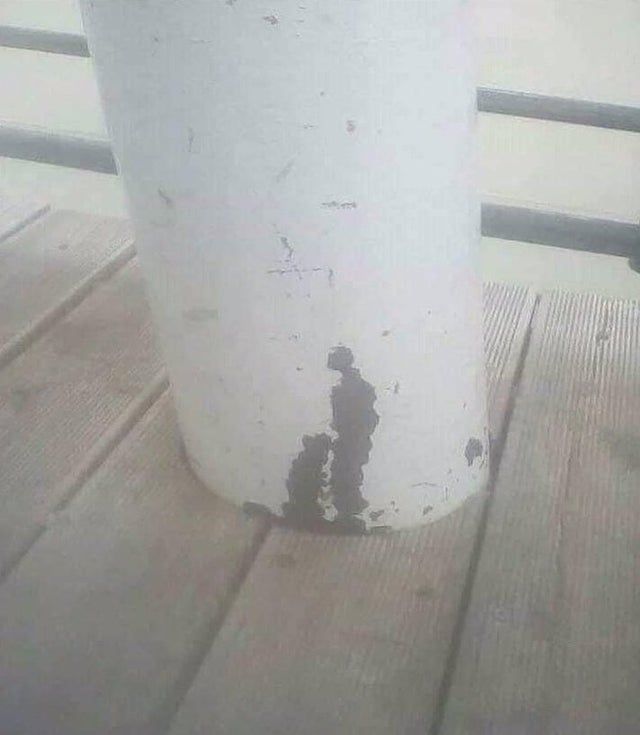 Day #8 of NNN and you see this