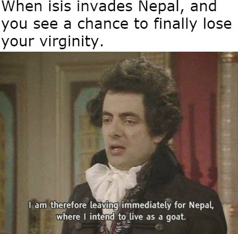 Blacked adder.