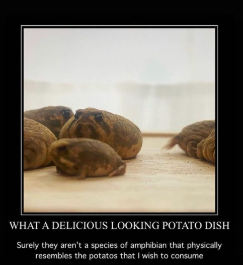 potatoad