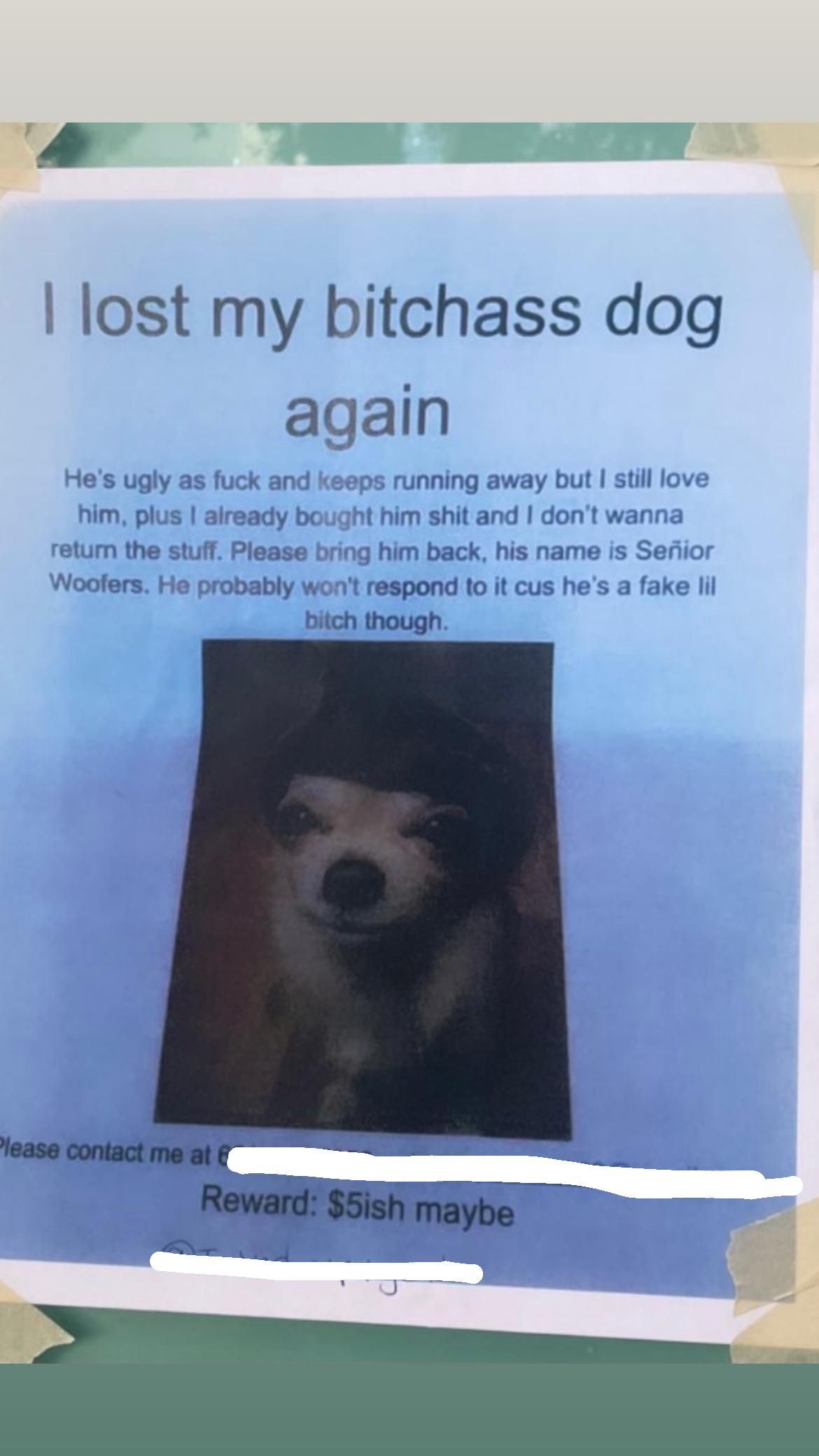 Justice for Señior Woofers