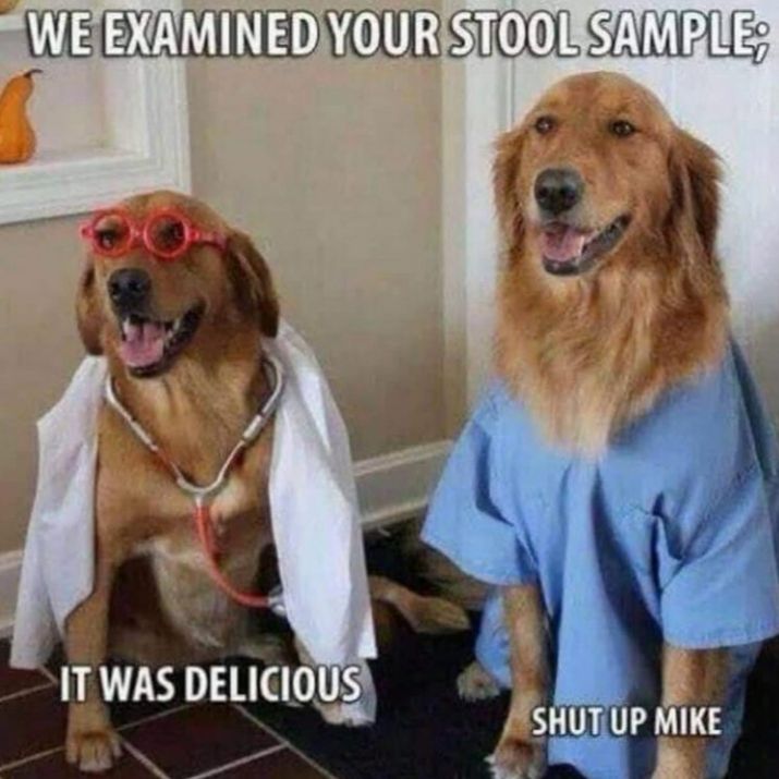Mmmh