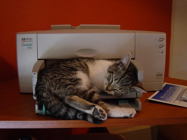 3d printers are amazing!