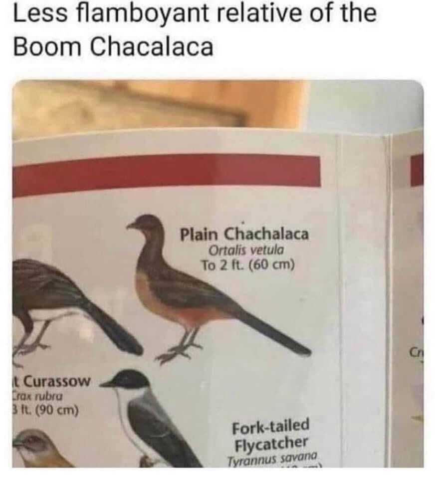 ‮