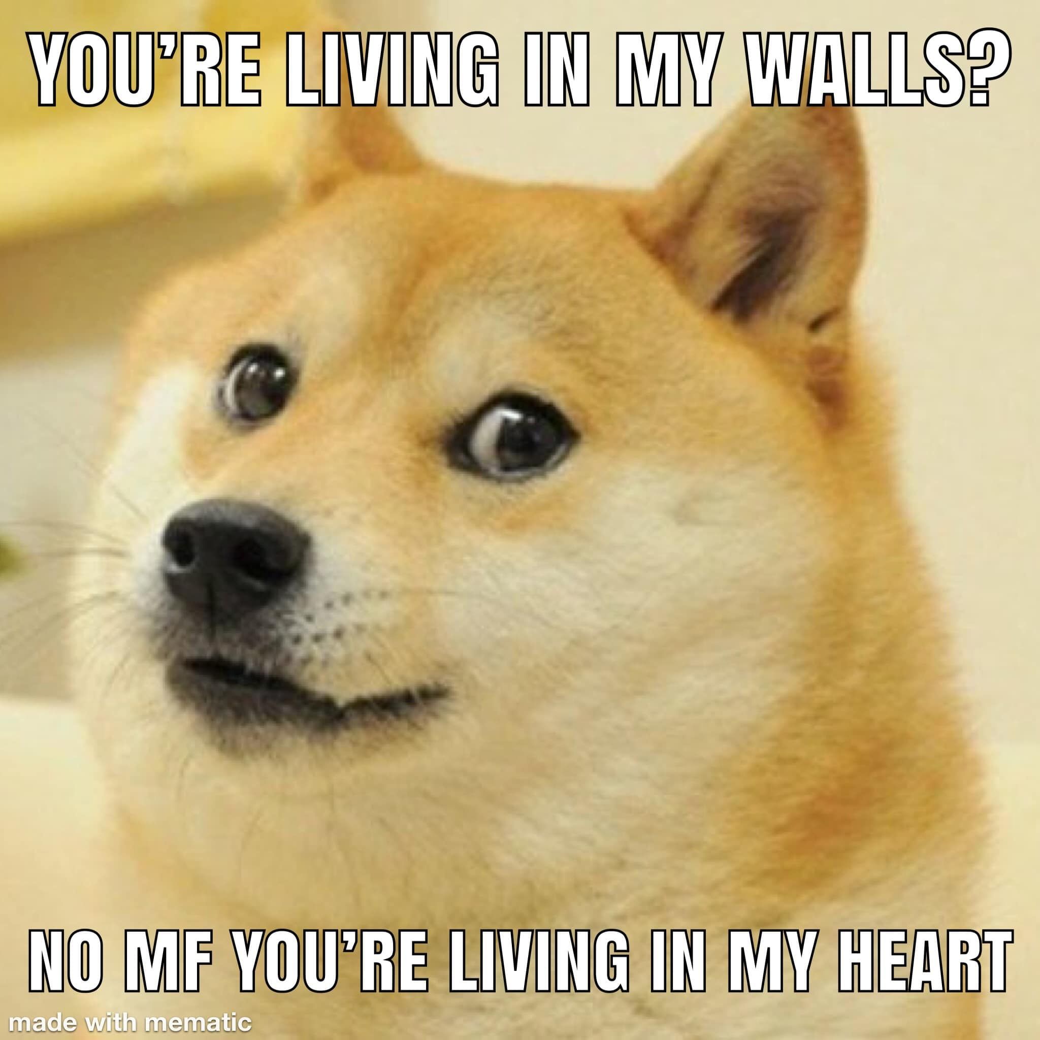 <3 