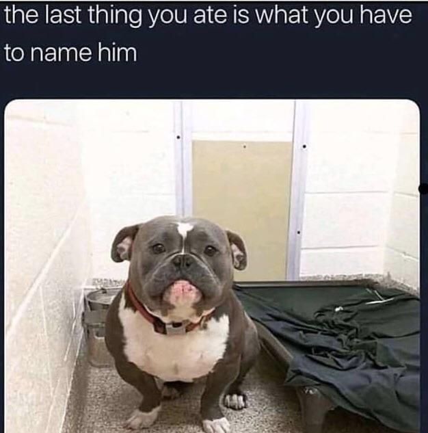 The last thing you ate is what you have to name him