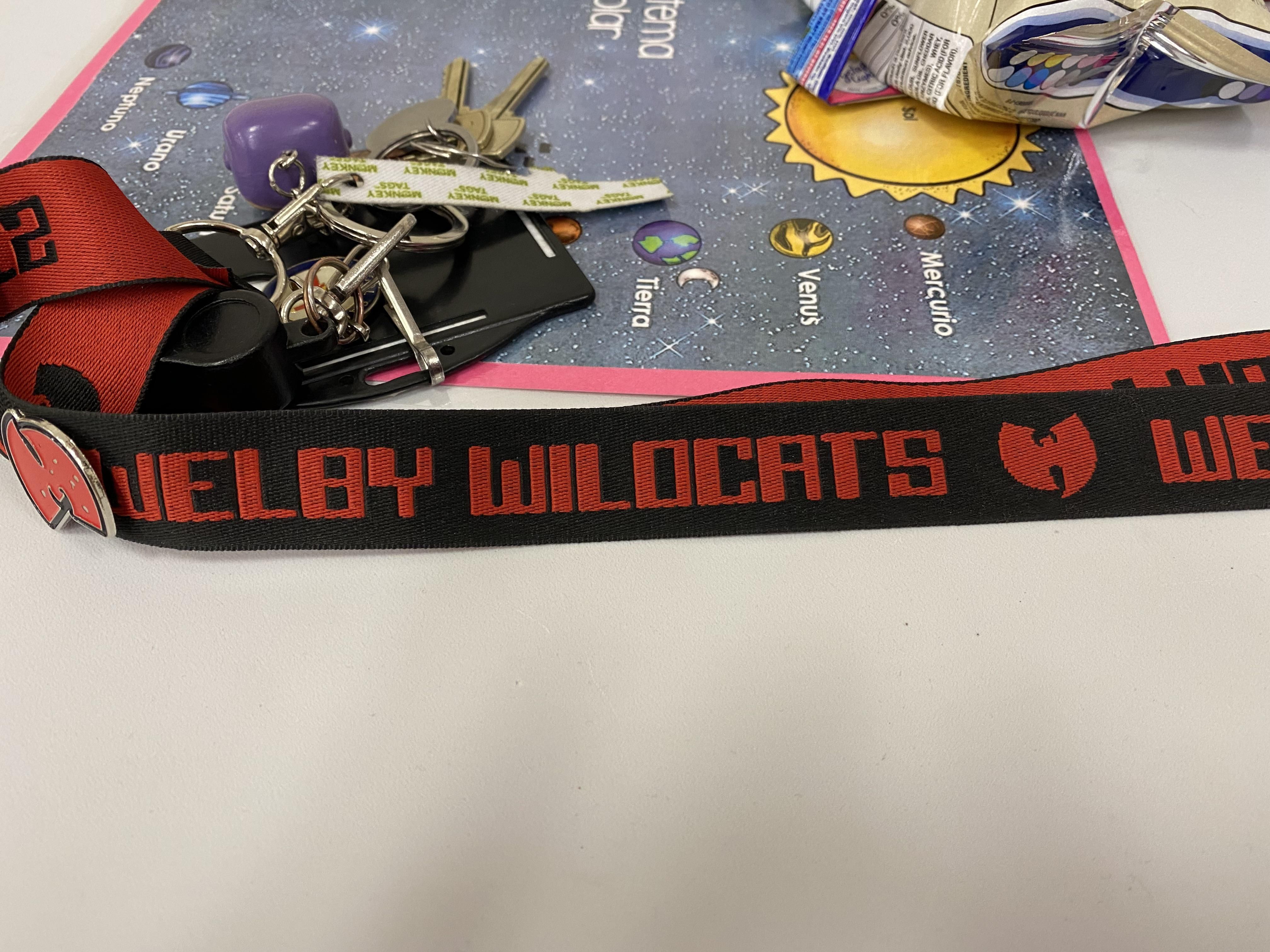 All the teachers at my kids school got a new lanyards. Apparently Welby Elementary ain’t nuthin to *** with