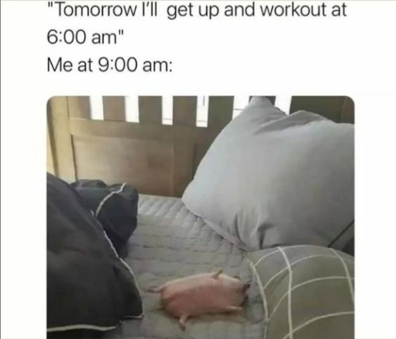 A cycle that repeats every day