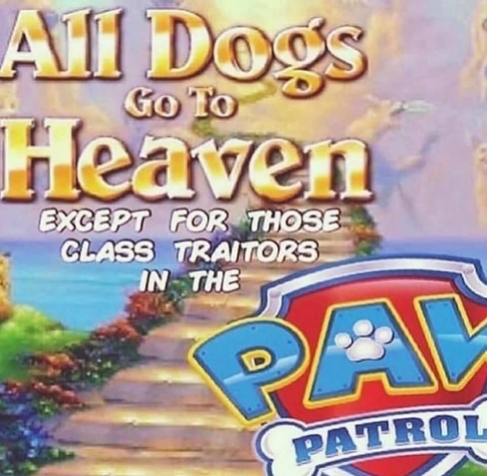 Most dogs go to heaven
