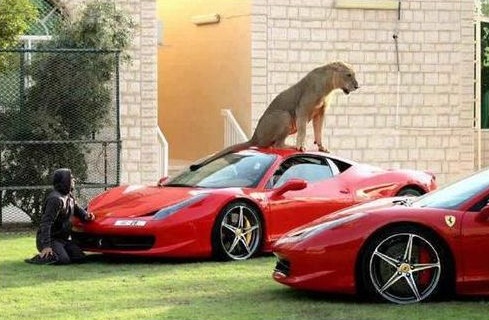 Hello... Boss... I can`t come to work today...