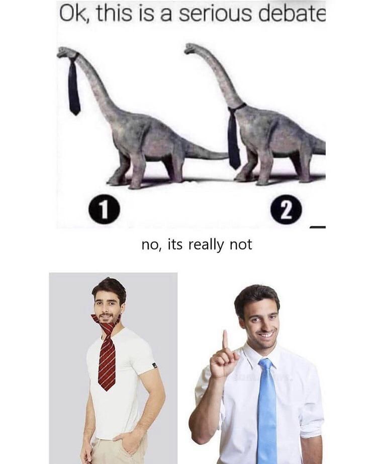 Dinosaur tie