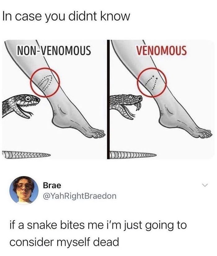 If you start hallucinating, it's venomous