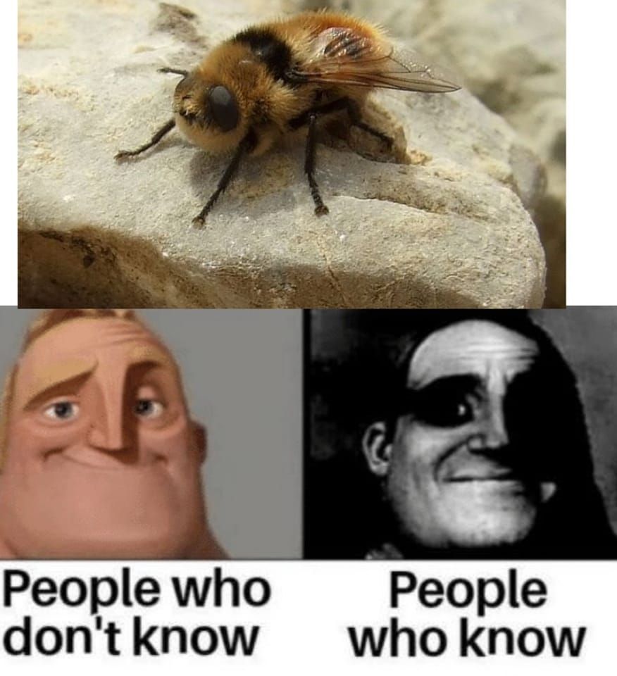 do not seek forbidden knowledge