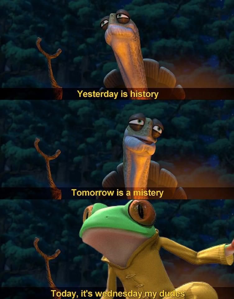 The day of the Frog