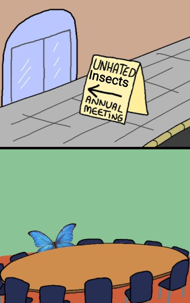 Butterflies are the only accepted insects