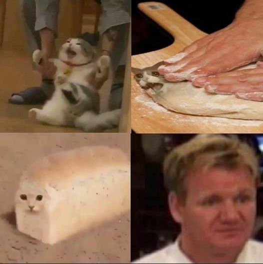 Bread