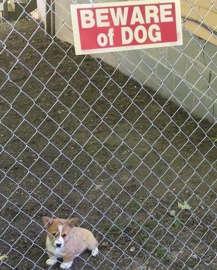 vicious