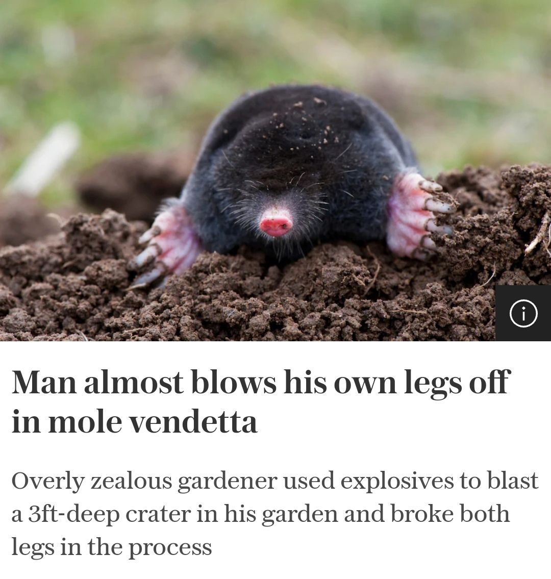 /k/