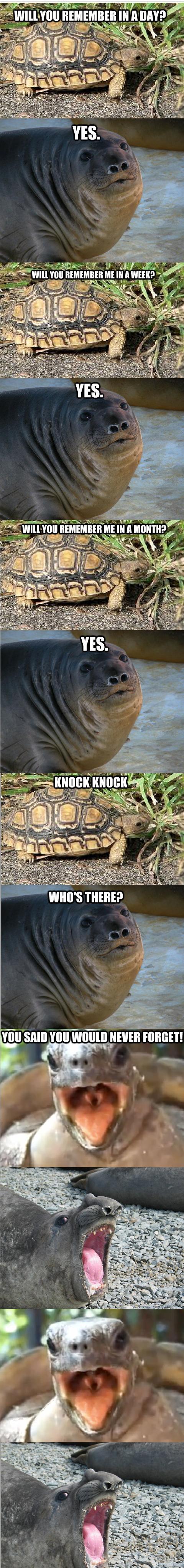 The Betrayal!