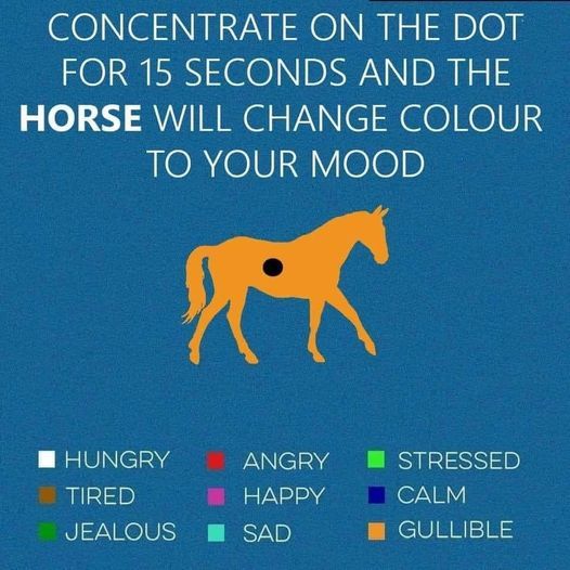 Actually works!