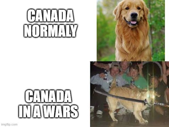 stronk Canada