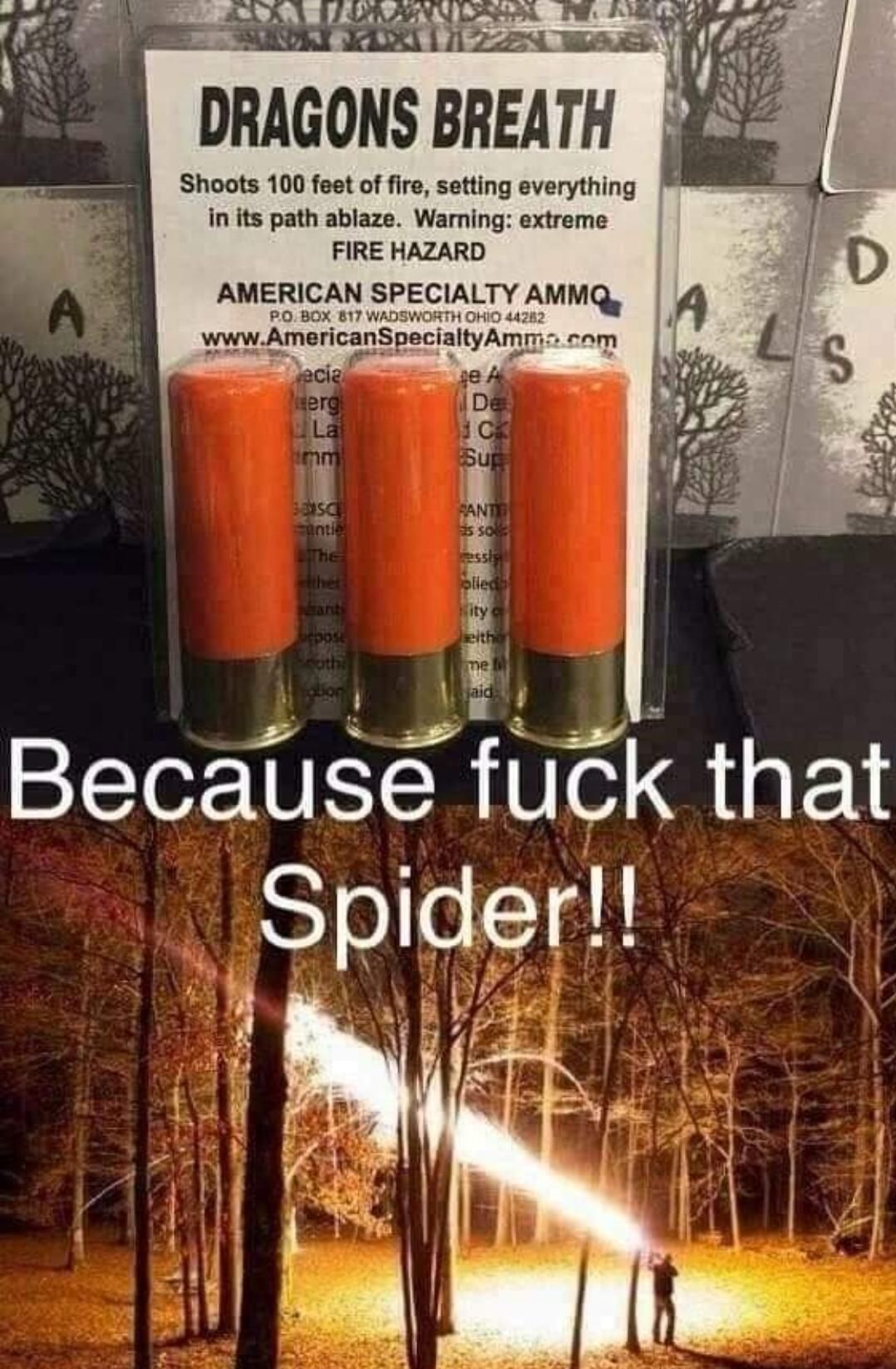 *** THAT SPIDER SPECIFICALLY