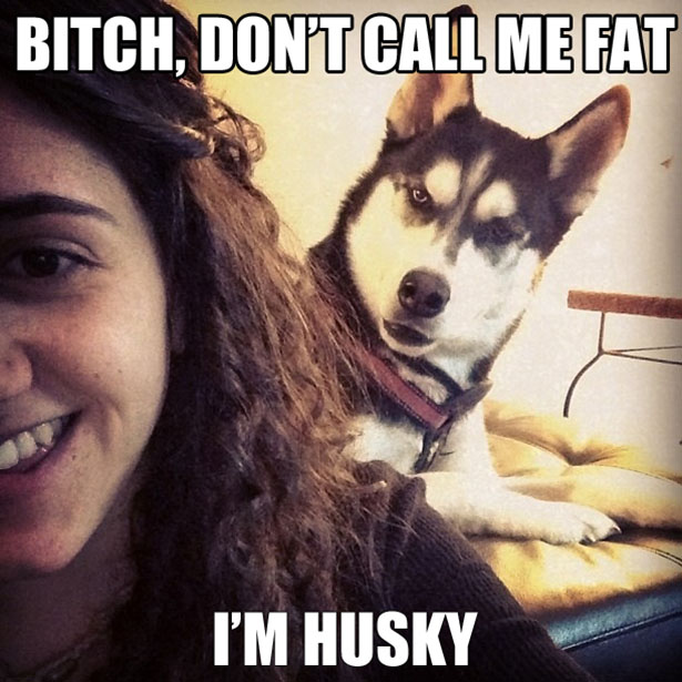 Whutchujustsay?